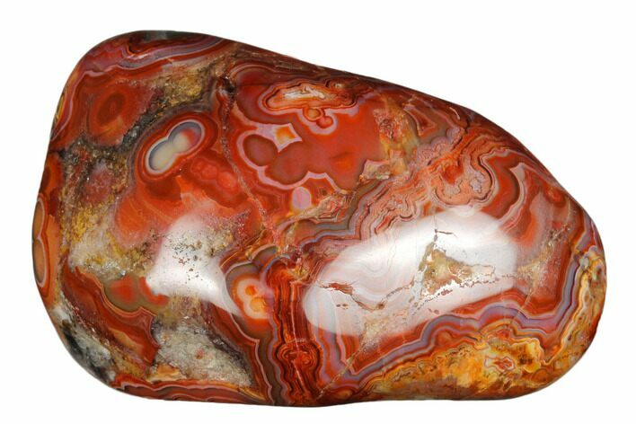 Polished Crazy Lace Agate - Mexico #180546